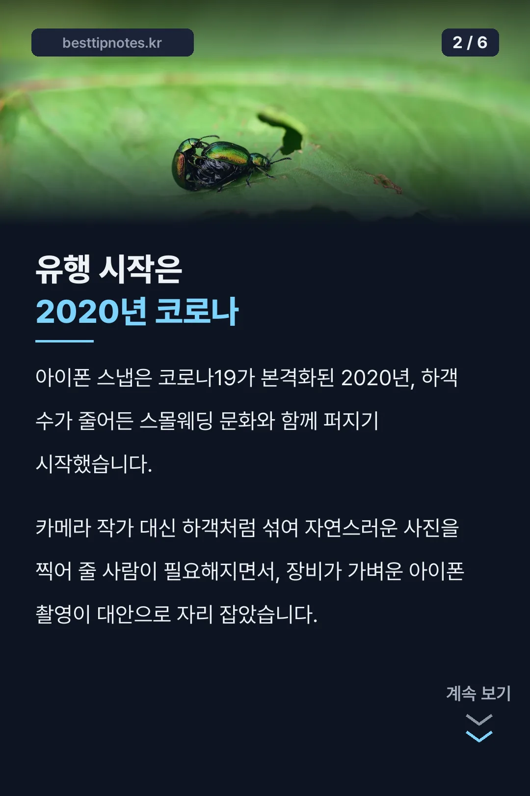 2020년 코로나와 함께 시작