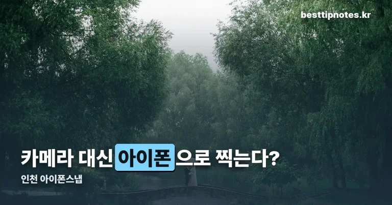 인천 아이폰스냅 정리 썸네일