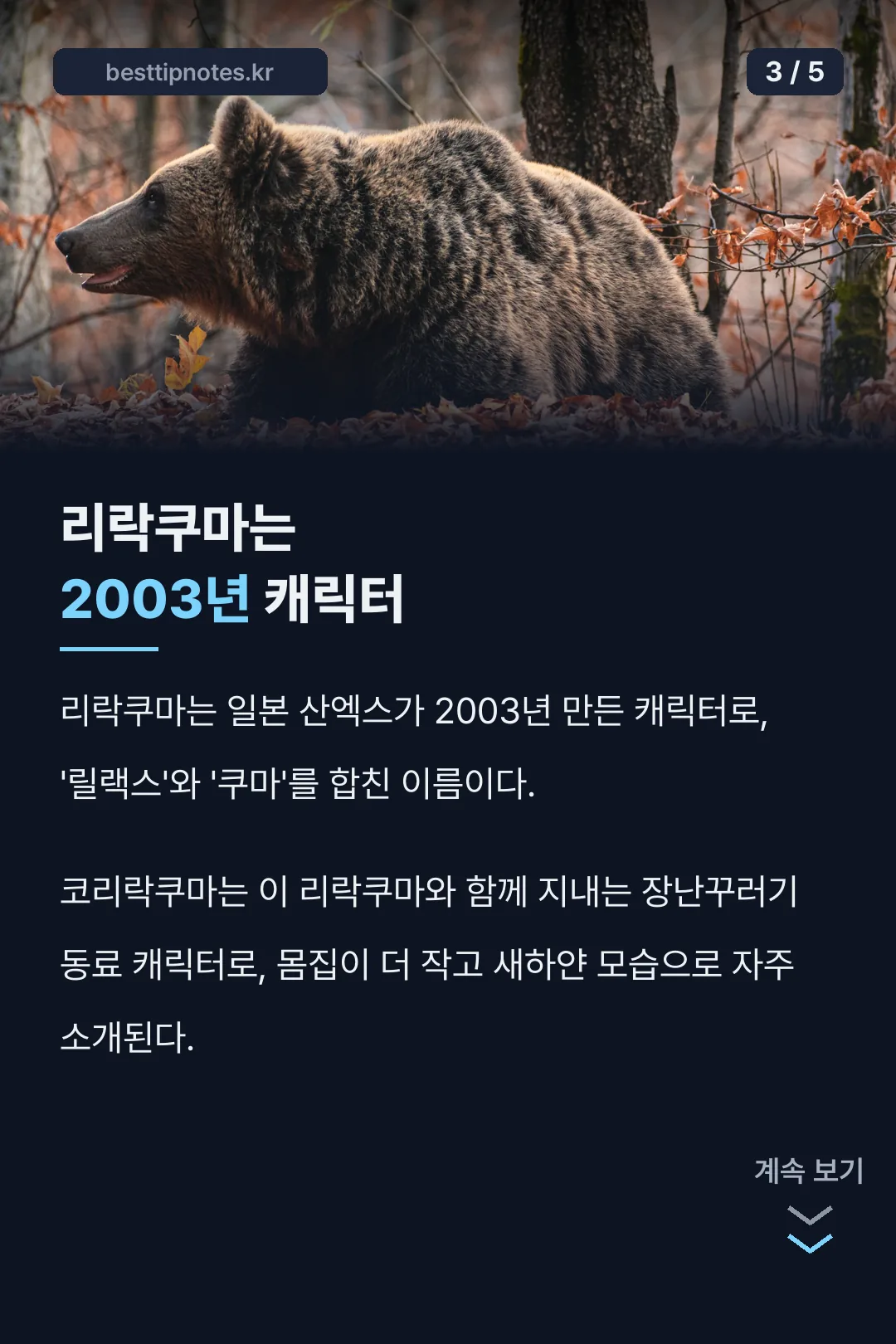 리락쿠마 2003년 캐릭터 유래